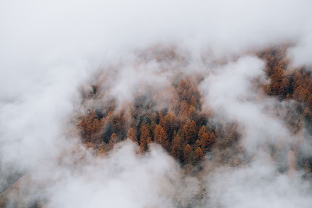 以雨为令，闻汛而动——延安站派出所全力筑牢防汛安全线​